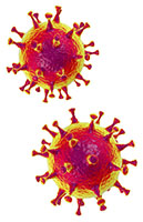 Coronavirus on white background